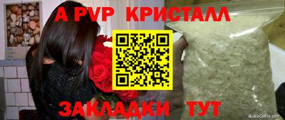 винт Сланцы