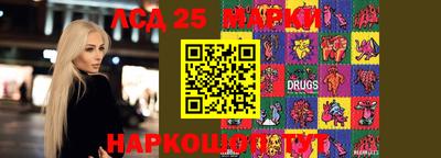 винт Сланцы