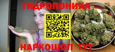 spice Славгород