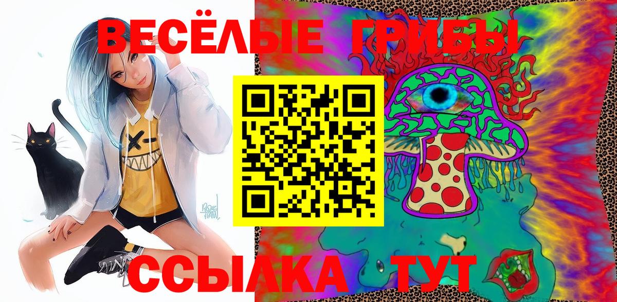 Галлюциногенные грибы Psilocybe Астрахань
